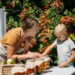 Unique Bargains Wooden Wide Mouth Mason Jar Lids With Airtight Silicone Seal 24 Pcs 9 Unique Bargains Wooden Wide Mouth Mason Jar Lids With Airtight Silicone Seal 24 Pcs -Kitchen Tools Shop GUEST 689f3338 f782 4baf be9a b59a691c16a7